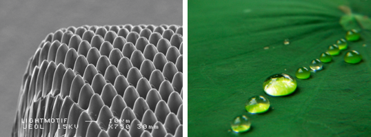 Fabrication of super hydrophobic surfaces - Fujifilm