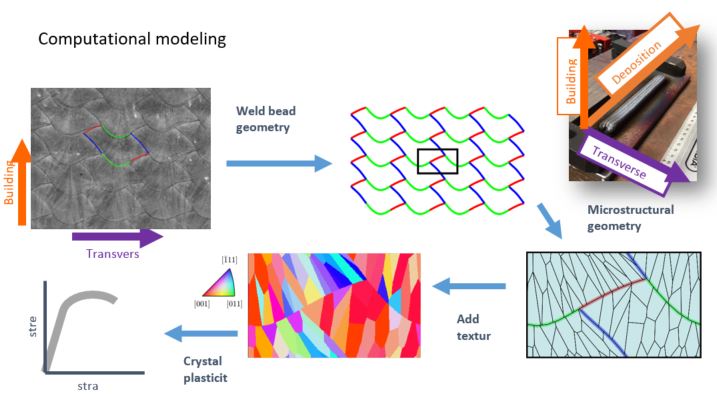 Computational modeling